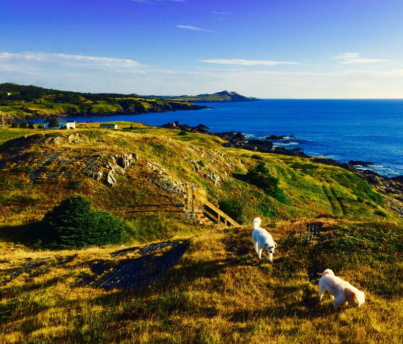 Miles of coastline walking trails