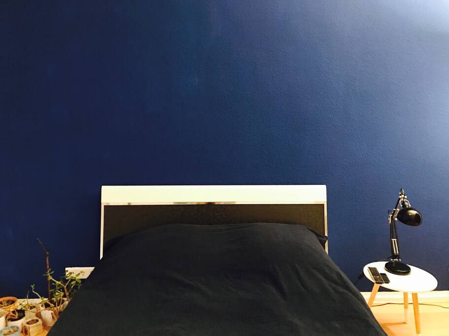 In dem 1,40 m Bett im Schlafzimmer finden problemlos zwei Personen Platz.