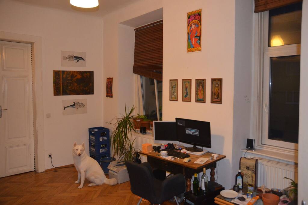 mein Zimmer/ my room