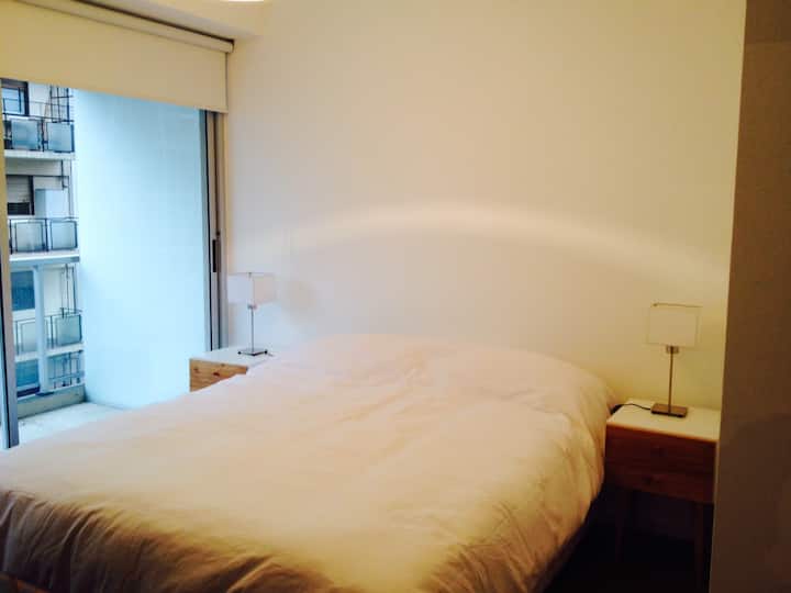 Квартира с 1 спальней в Recoleta