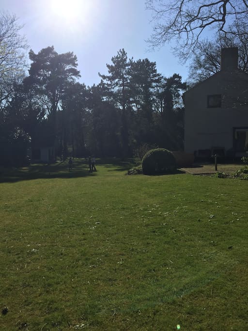 Our Sunny garden