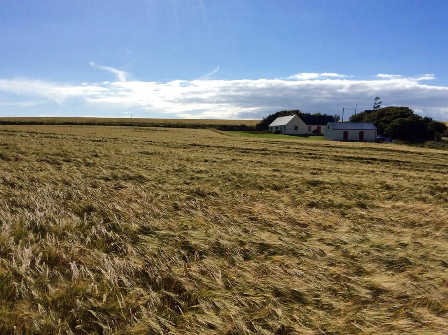 view of house across the fields