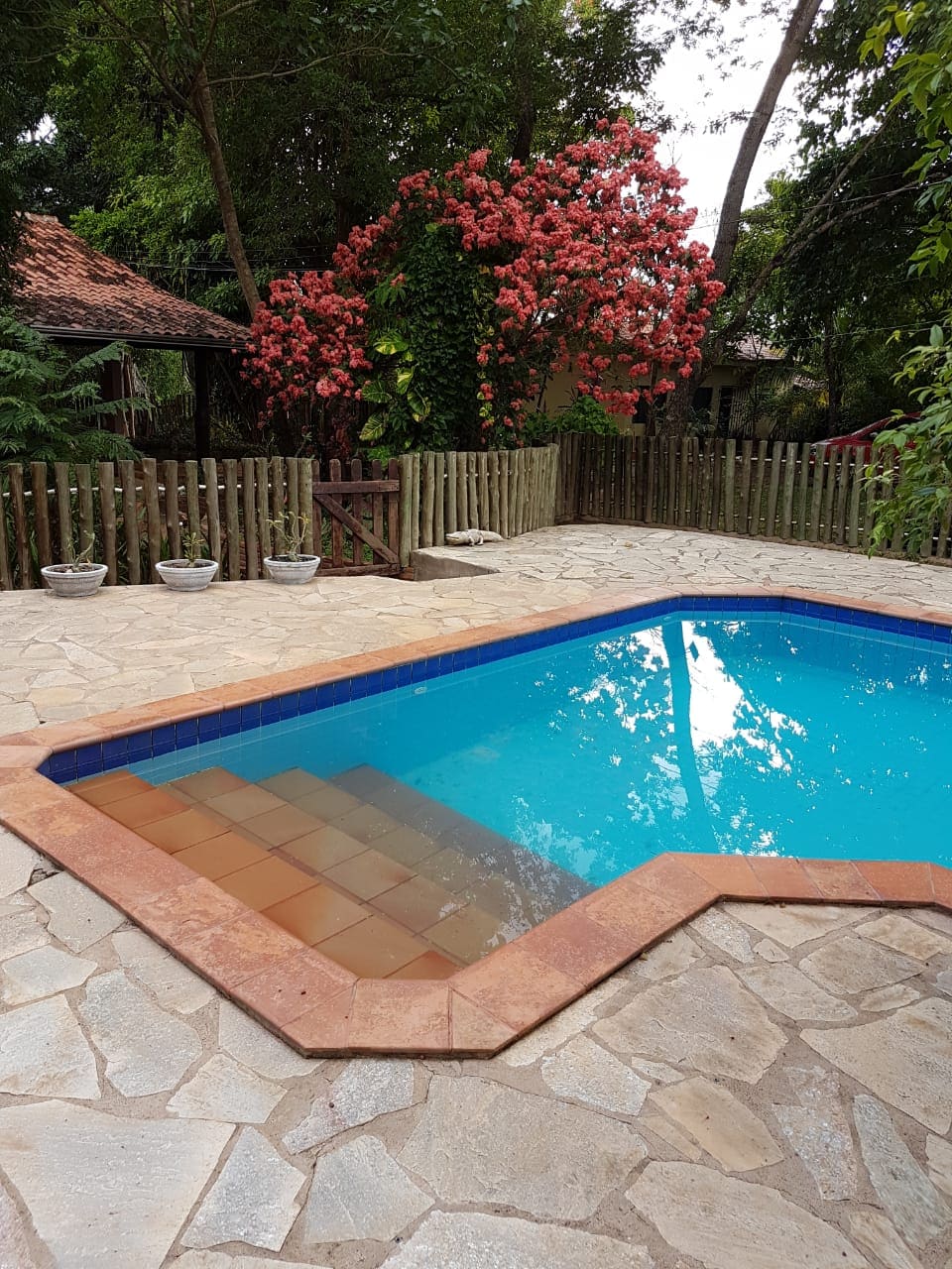 A clean swimming pool is framed by natural stone tiles, reflecting the surrounding greenery. A vibrant flowering tree is visible in the background, adding a pop of color to the outdoor space. The fenced area enhances privacy for relaxation.