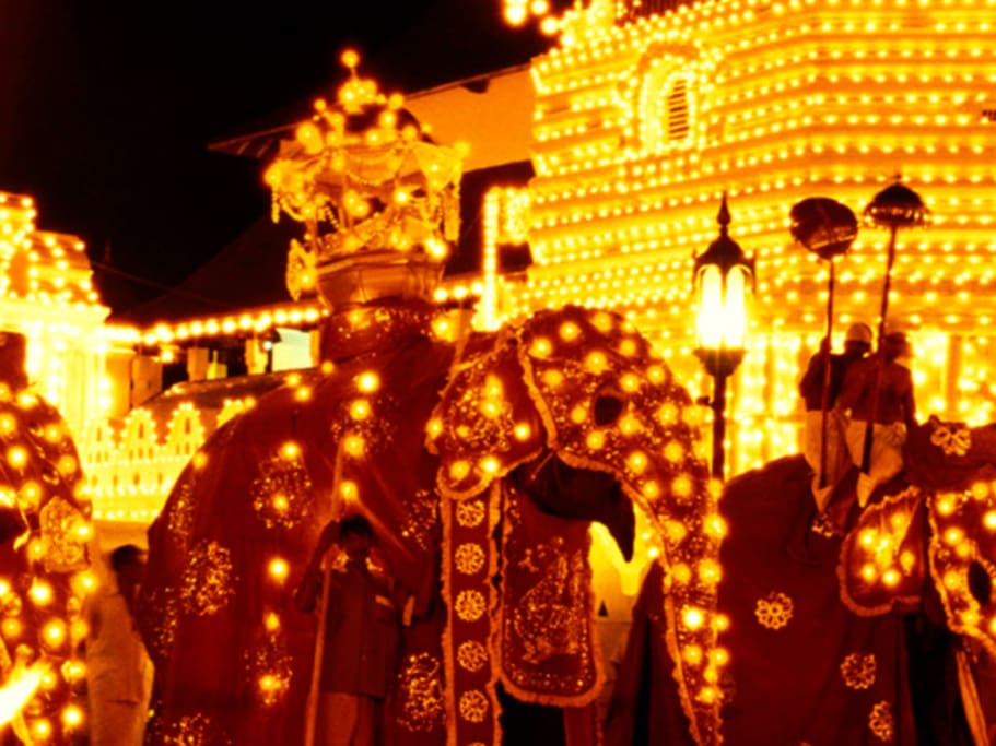 Don't miss your opportunity to see this Big Buddhist Festival in Kandy