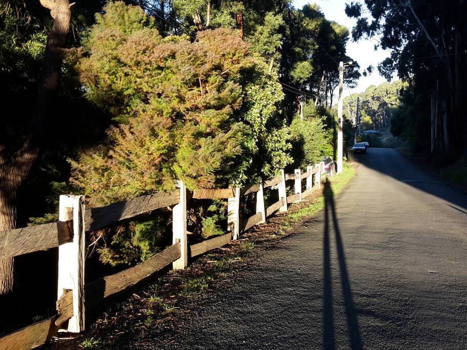 Take an evening stroll down Golden Point Road