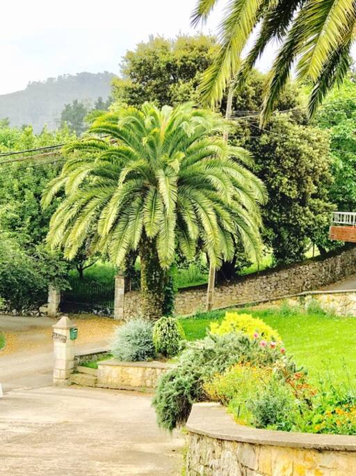 Acceso a Finca EL Miruendano.