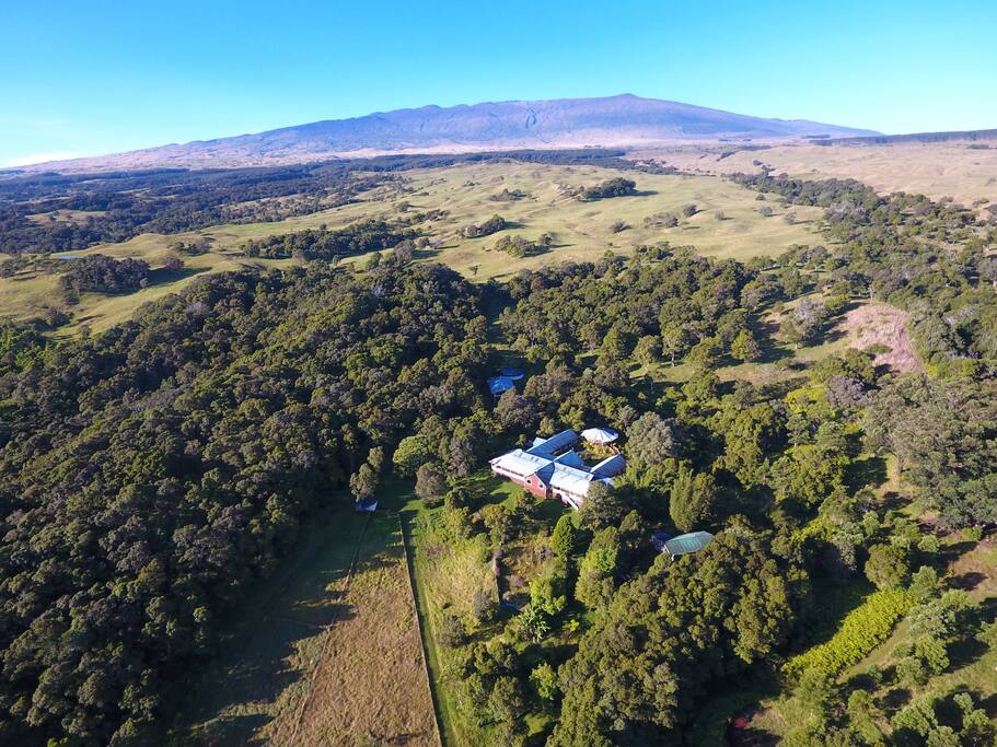 At the base of Mauna Kea