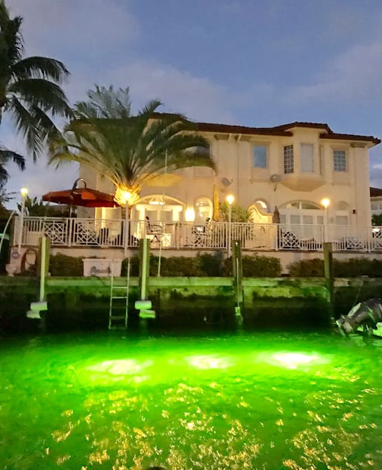 Underwater fish lights