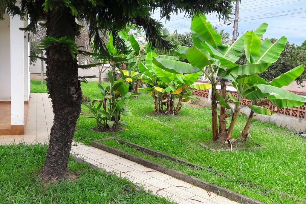 Vista do jardim...