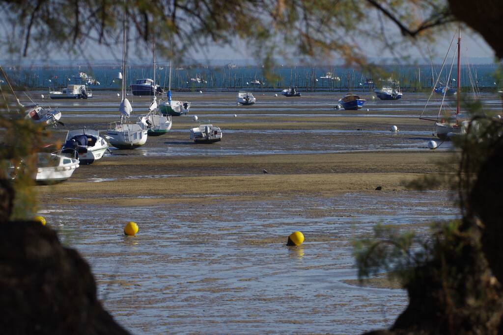 LE BASSIN D'ARCACHON