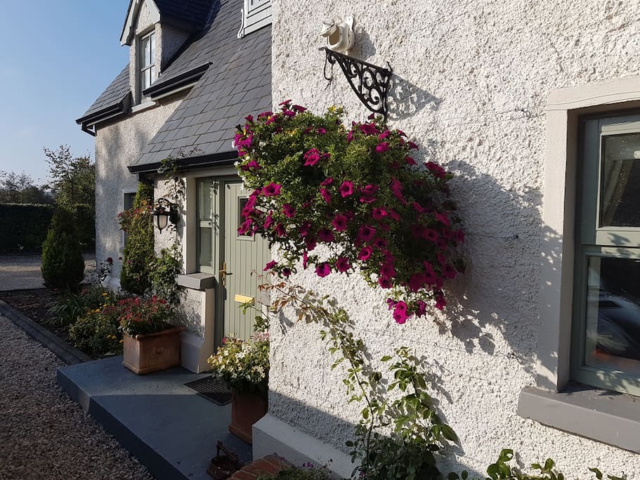 River Cottage hanging baskets in the late evening sun