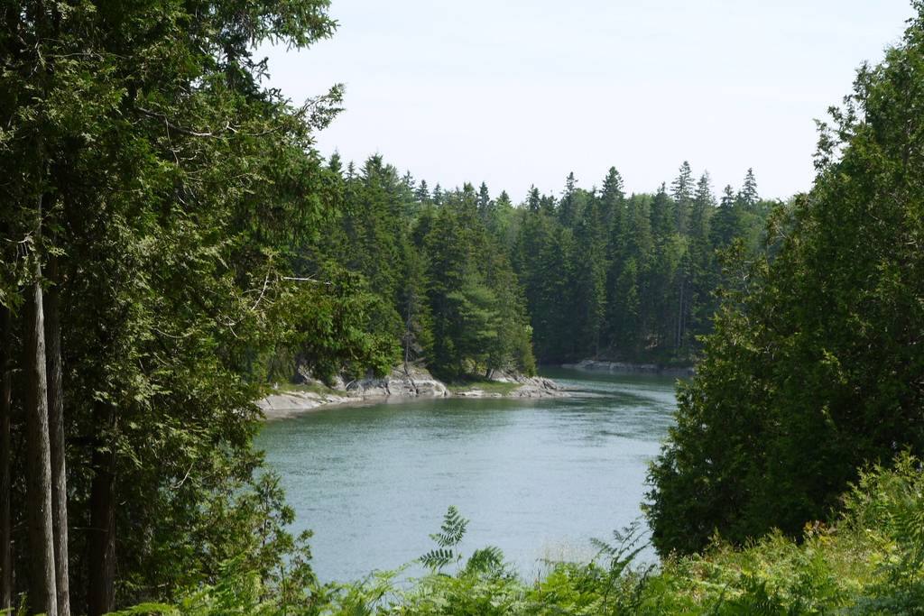 View from the path to our dock