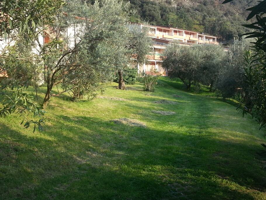 Parco interno