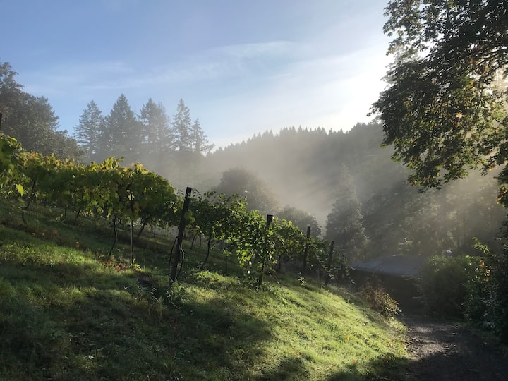 Helvetia locations de vacances et logements Oregon, ÉtatsUnis Airbnb