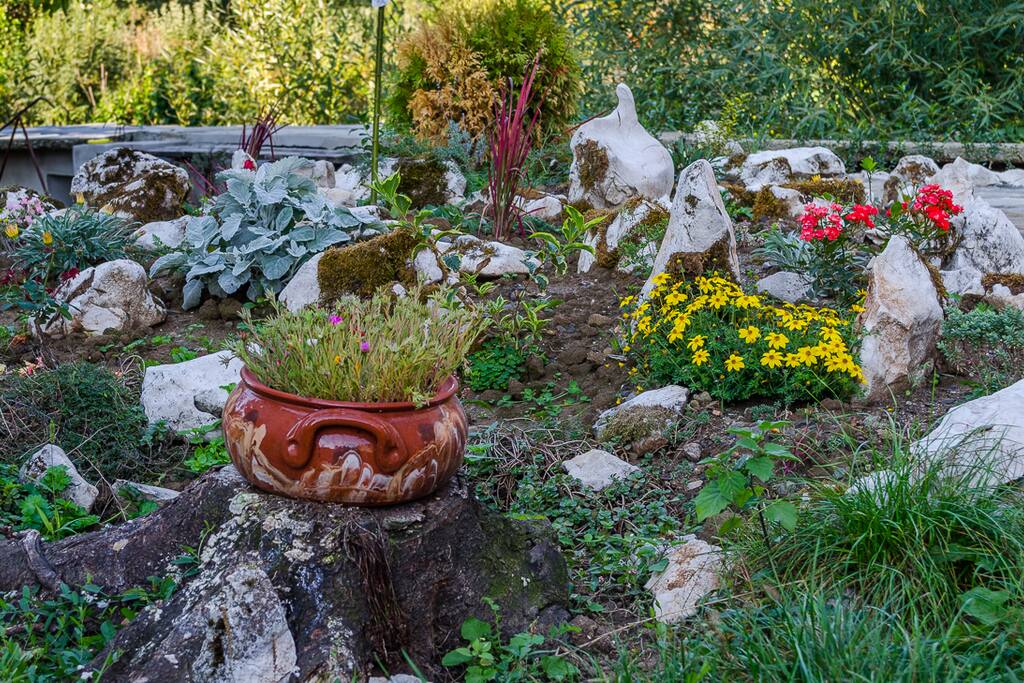 Walk around the alpine garden breathing fresh air.