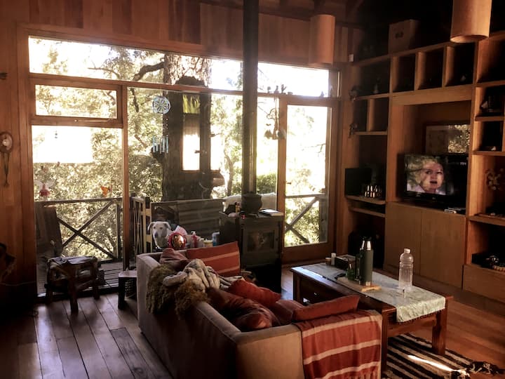 Cottage In Forest Surroundings - San Martin de los Andes