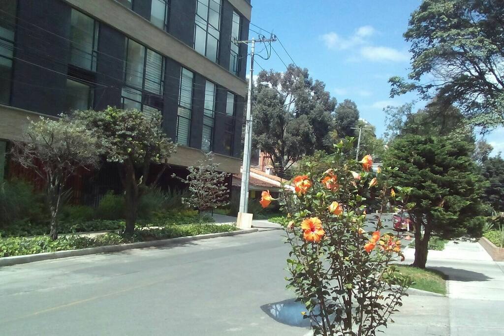 The building