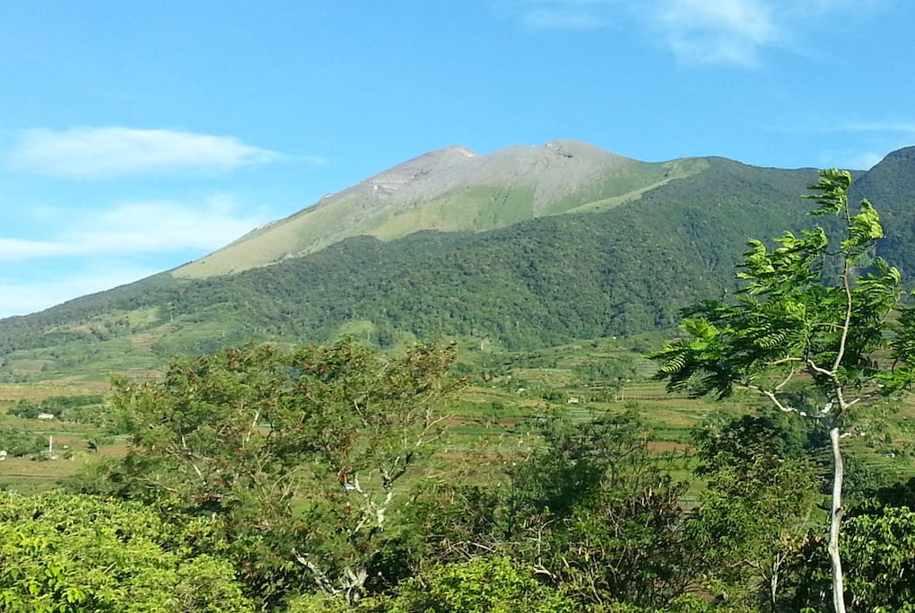 The Canlaon volcano view from the camp site.