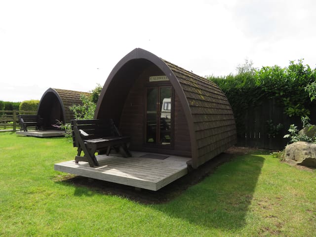 Small Camping Pod (2 adults, 1 child), N Yorks