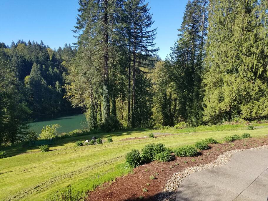 View of back yard and river from covered deck with propane BBQ.