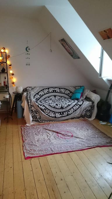 This is the living room. :) The sofa in the picture is a pull out bed that can accommodate one extra person comfortably.