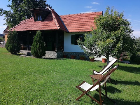 Camping Viljamovka