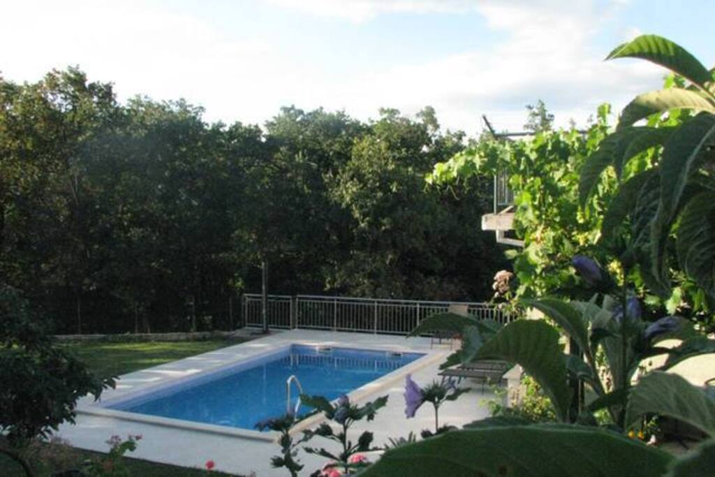 pool