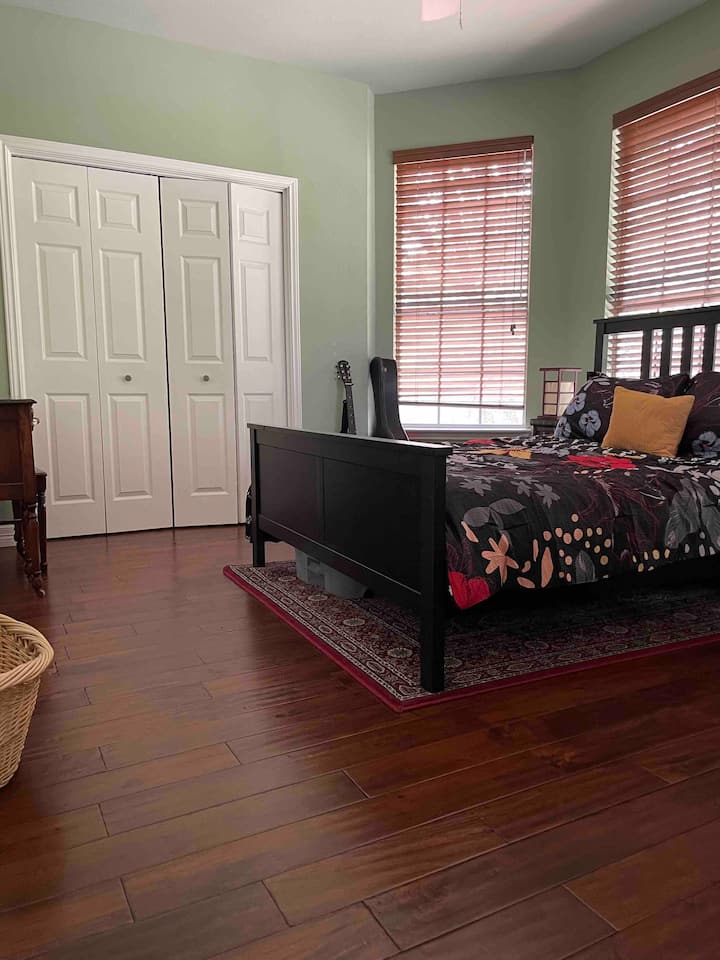 غرفة موسى، مناظر خلابة، جيتارات، كليمت، كتب عن التصوير الفوتوغرافي والفن من أمامية لا تصدق