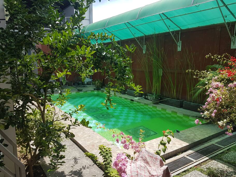 POOL AREA