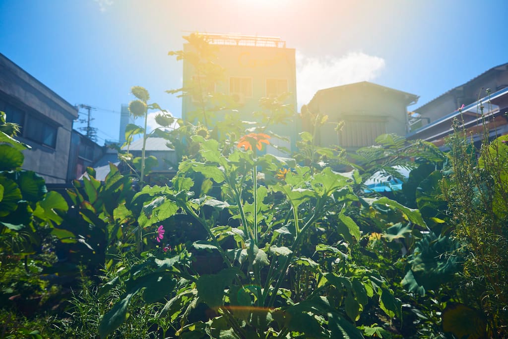 気持ちのいい、お庭があります。We have nice garden.