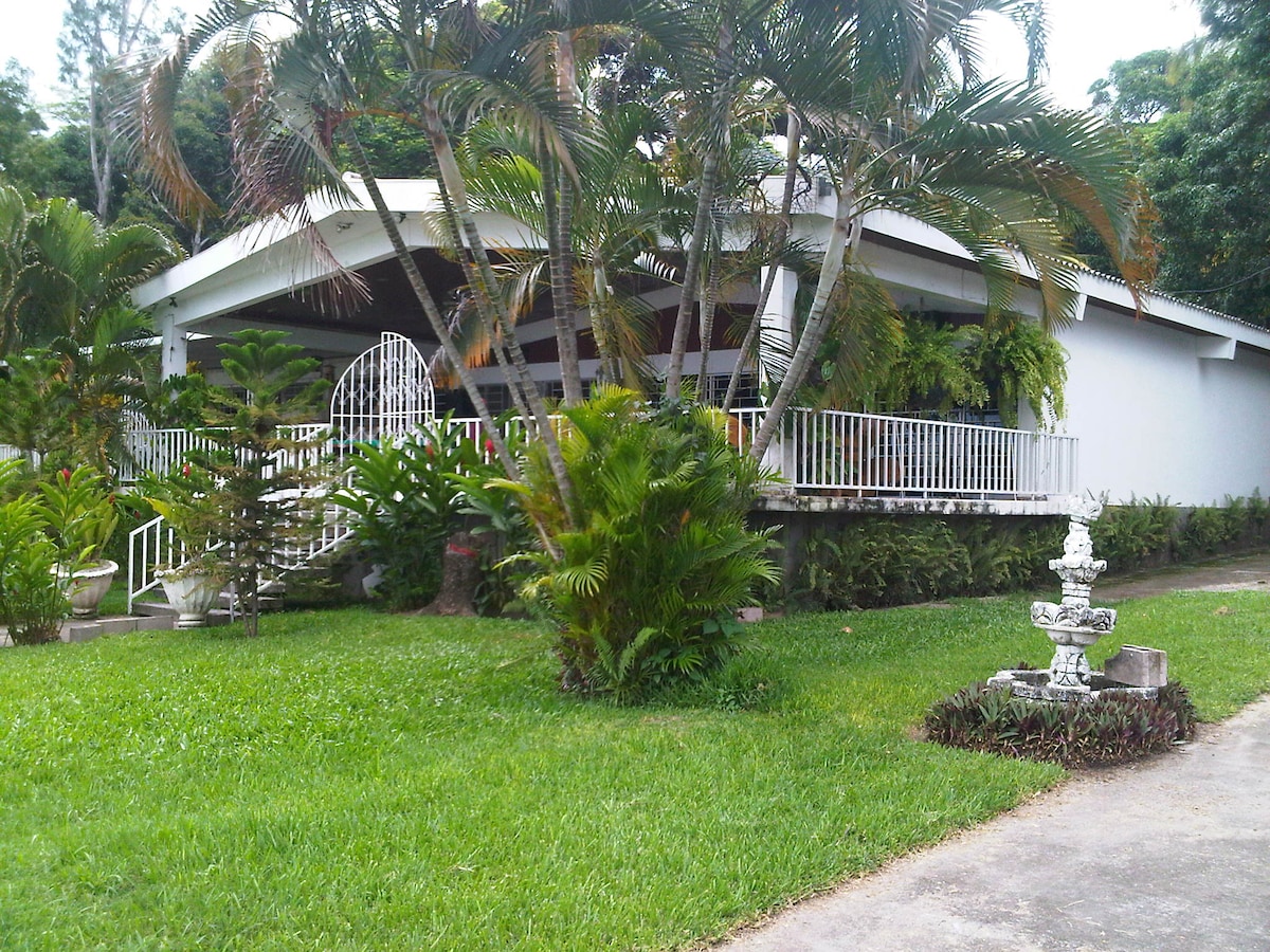 A spacious residence is nestled among lush greenery, featuring a large covered porch with white railings. Tropical plants surround the property, and a decorative fountain enhances the inviting atmosphere. The driveway leads up to the home, framed by well-maintained grass.