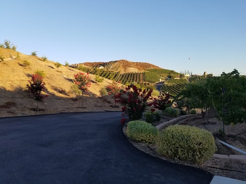 Southern Vines Suite