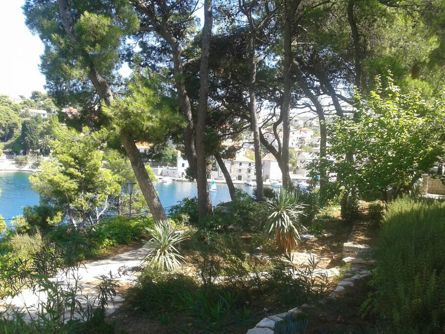 courtyard (house and surroundings)