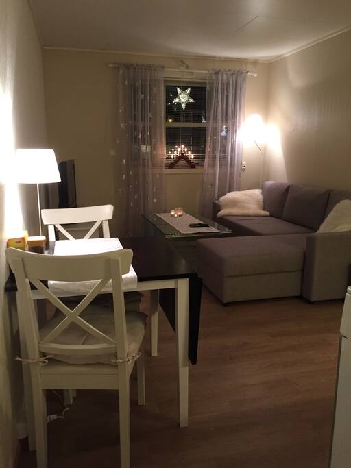 Kitchen/livingroom