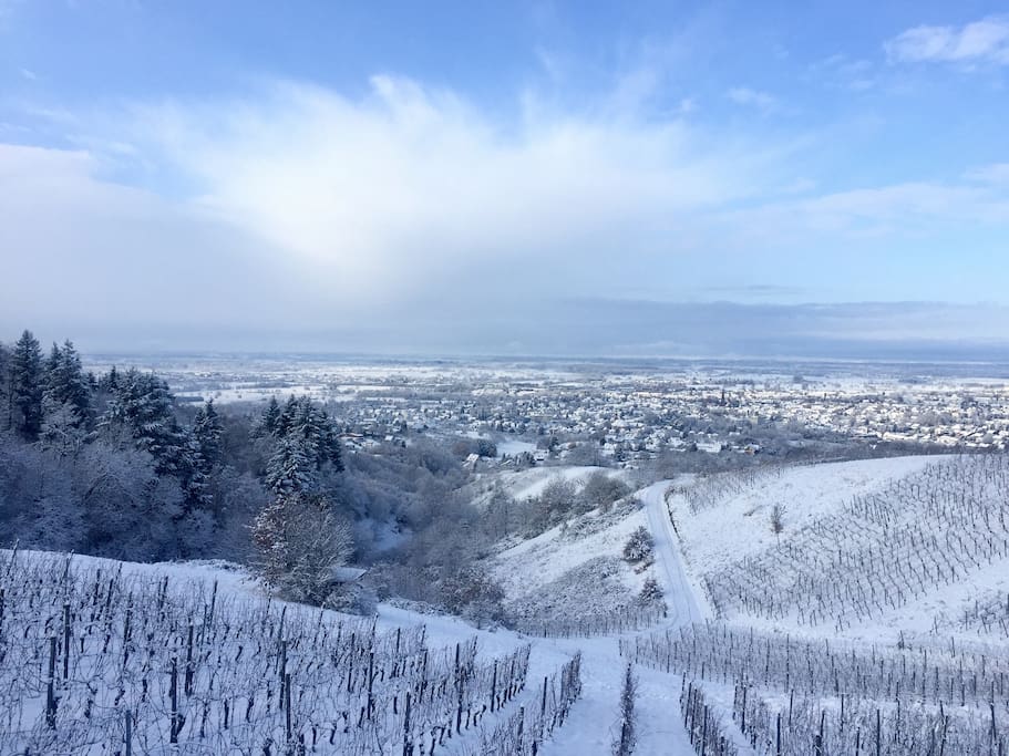 Ausblick im Winter (Dezember 2017)