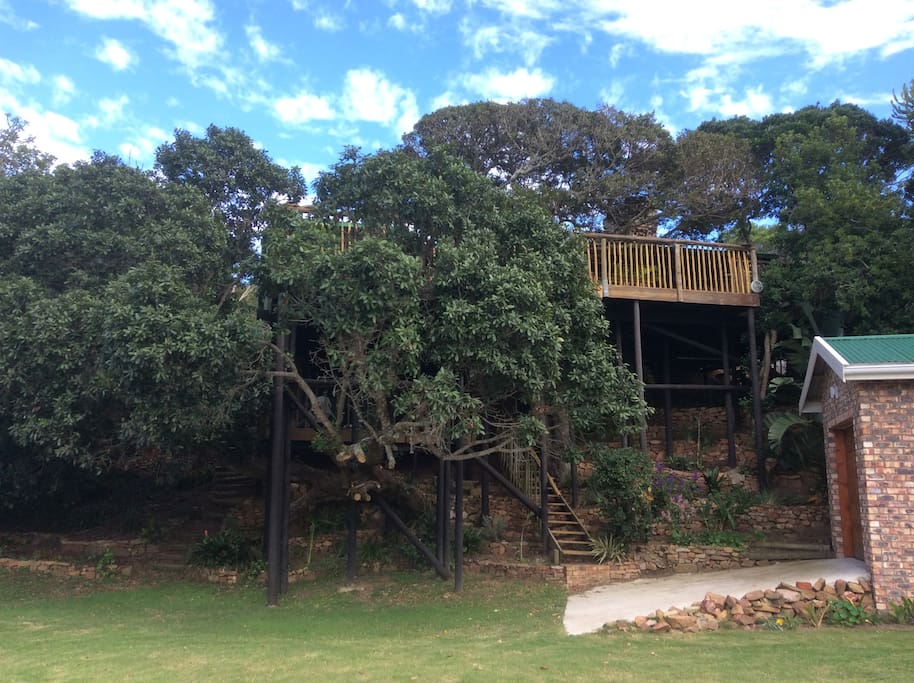 View of Tree House from Ground Level