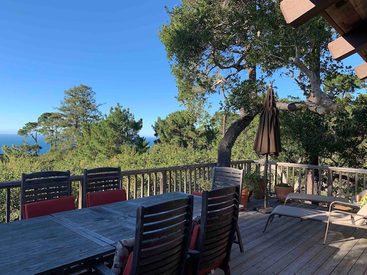 Isolation Retreat ocean view & hot tub Houses for Rent in Carmel