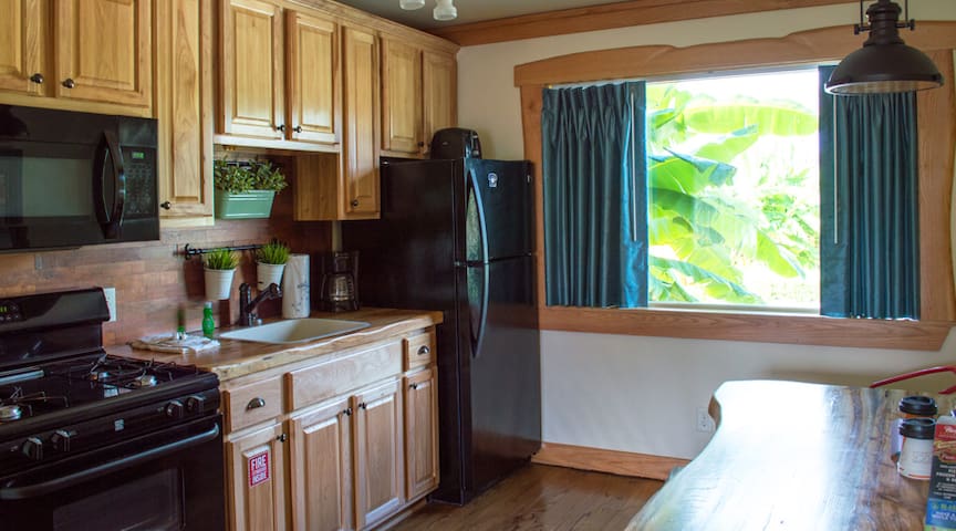 Studio Riverbend Cabin Cabins For Rent In New Braunfels