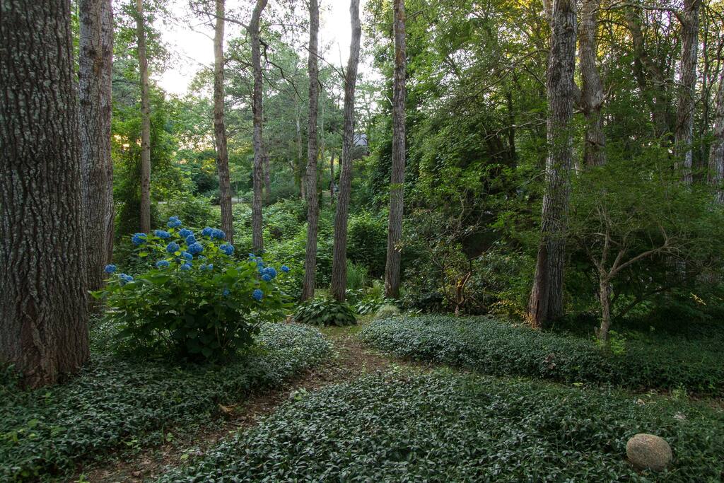 I like to garden. Also, hydrangeas do really well on the Cape.
