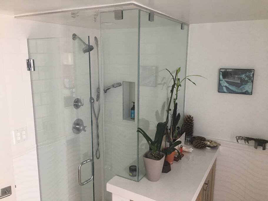 Walk in shower