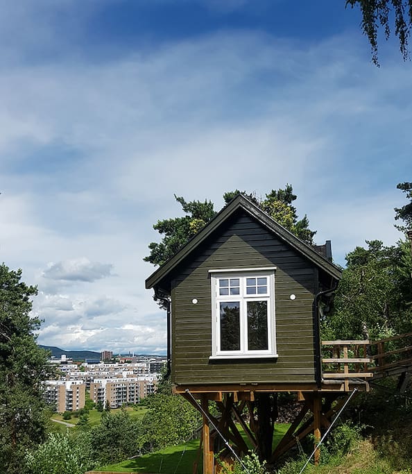 Exclusive tree house