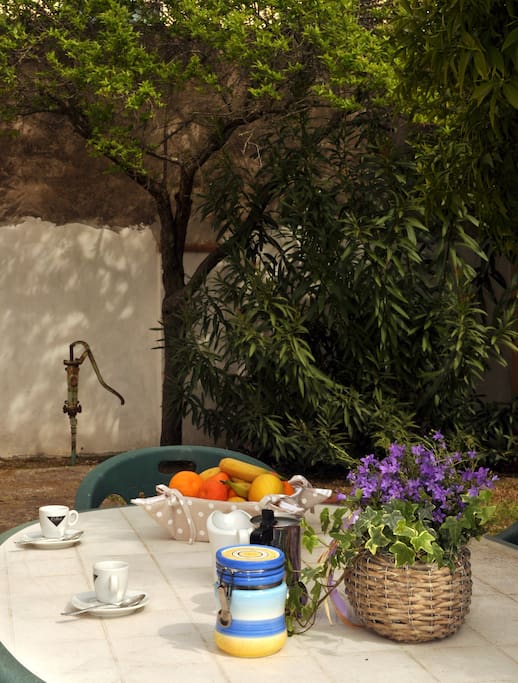 Il giardino