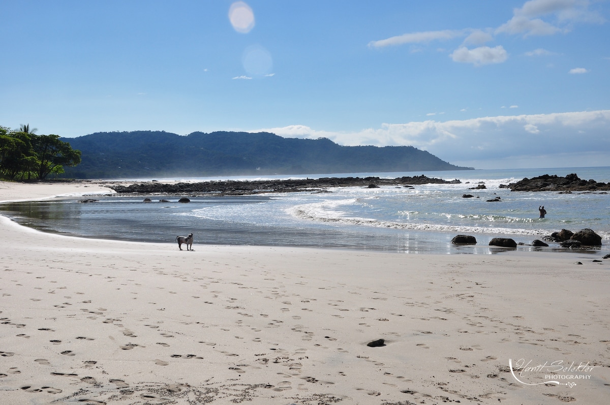 A serene beach scene captures gentle waves lapping against a sandy shore. Footprints lead toward the water, where a person is seen in the distance. Lush greenery and rocky formations frame the horizon, contributing to a calm coastal atmosphere.