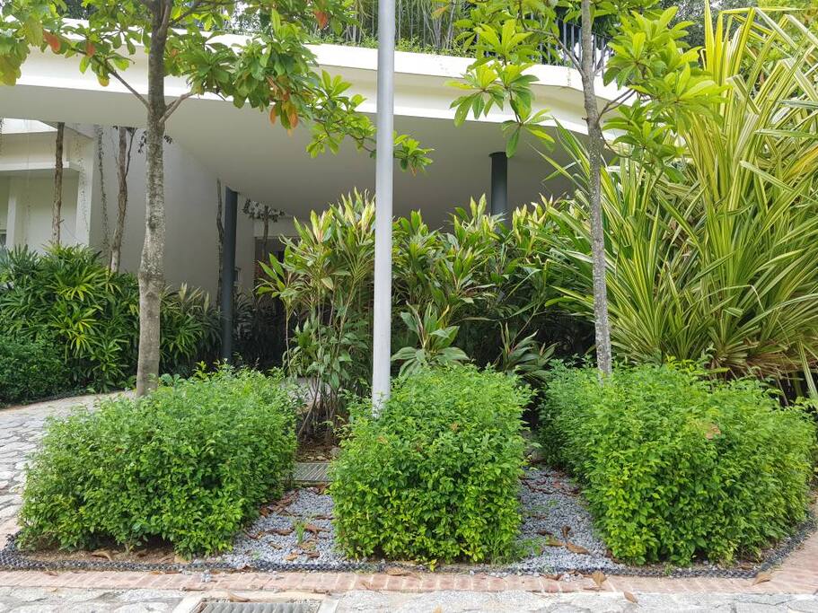 Lush greens