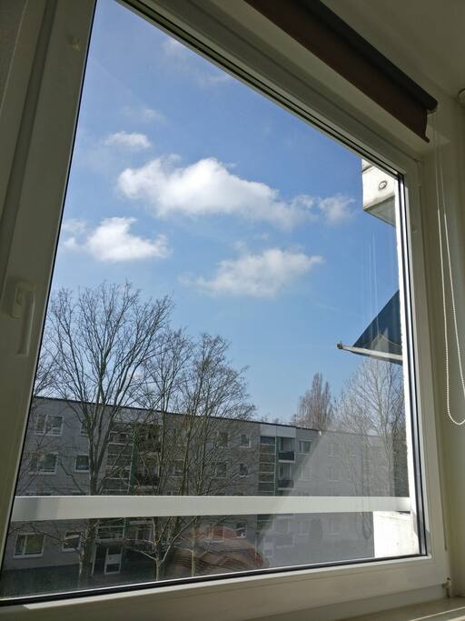 sunny