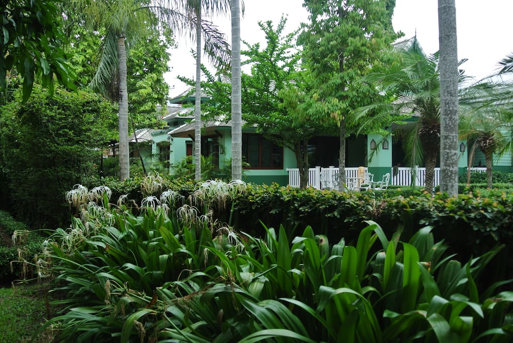 Looking at the house from the garden