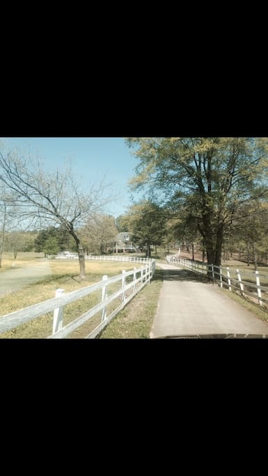 Follow long drive to the right