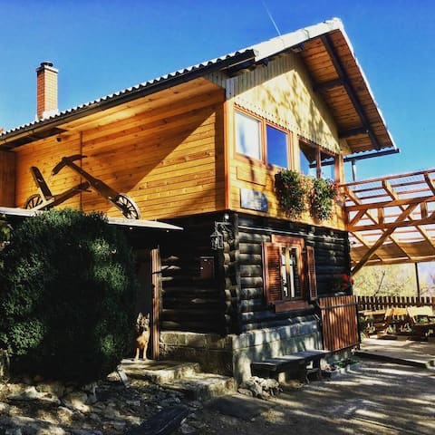 Hostel in the forest - Dom na Lovrencu lodge