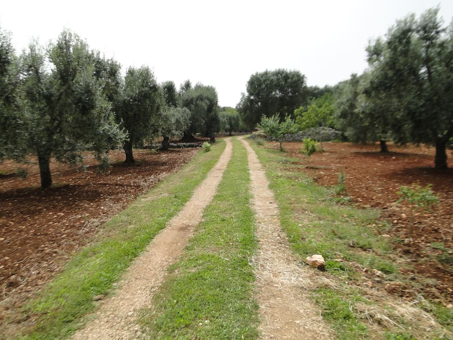 The entry of the property