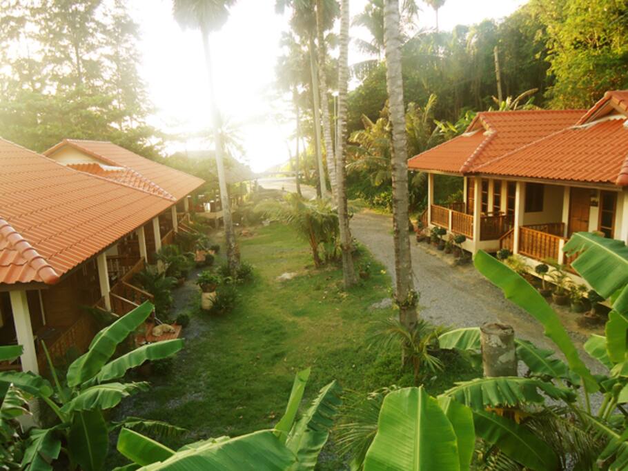 Tropical Sea front Garden